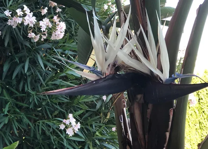 Διαμέρισμα Deluxe Chillout Experience