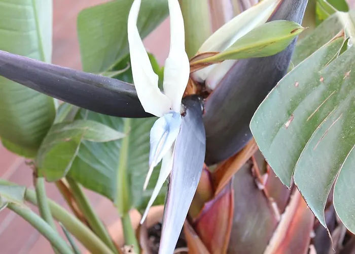 Deluxe Chillout Experience Διαμέρισμα