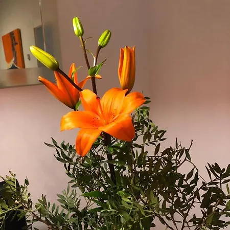 شقة Deluxe Chillout Experience دينايا