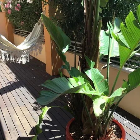 شقة Deluxe Chillout Experience دينايا