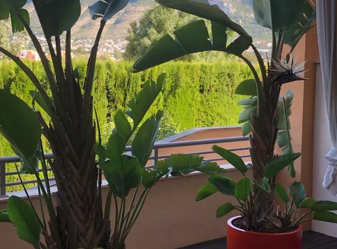 Deluxe Chillout Experience * דניה